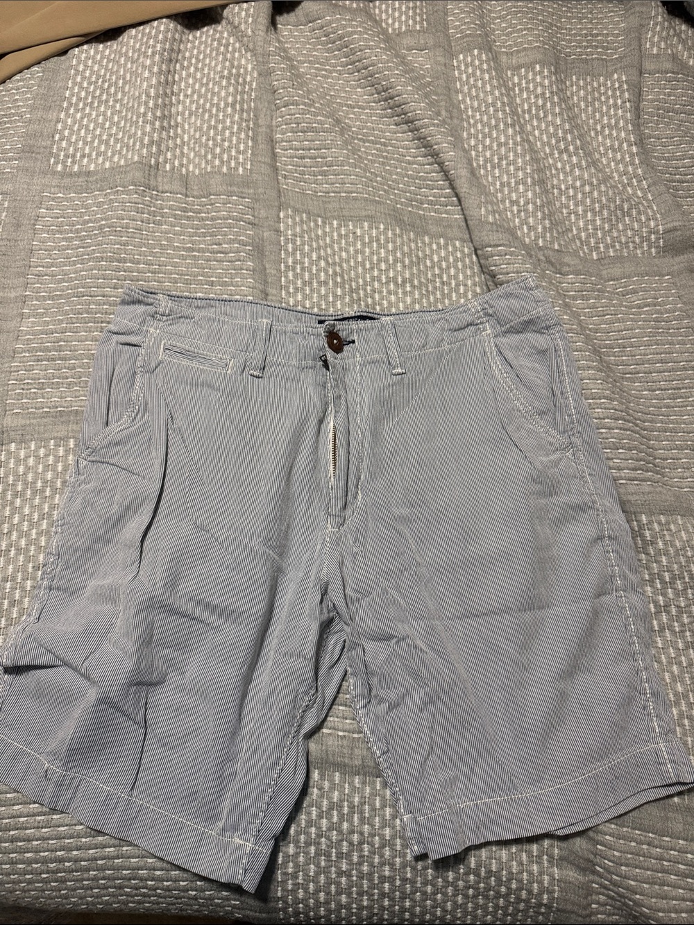 American Eagle Outfitters Light Gray Men’s Cotton Flat Front Shorts